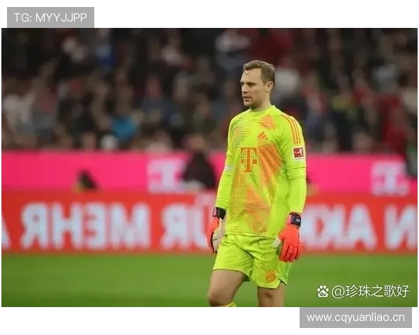 诺伊尔德甲夺冠次数与生涯荣誉解析