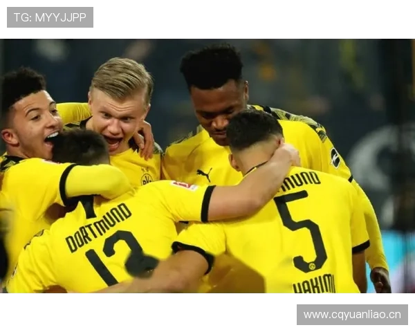 桑乔与哈兰德在德甲时期角色分化及进攻结构偏移趋势